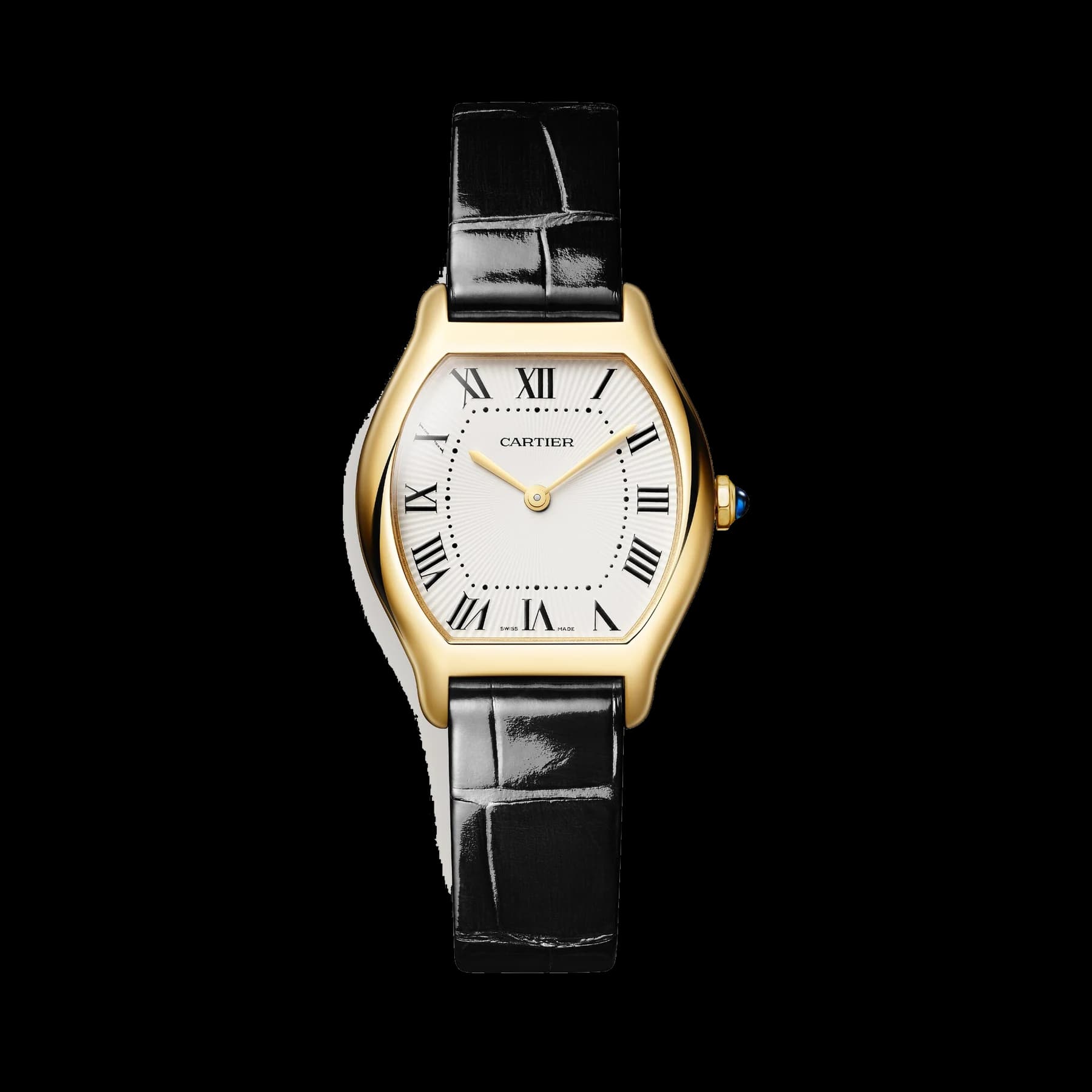 Tortue watch