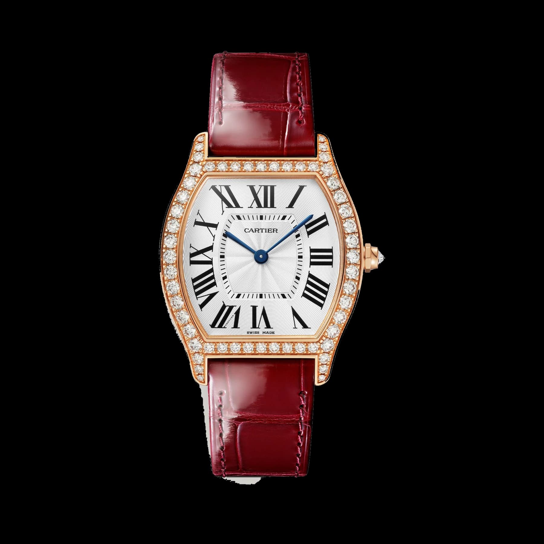 Tortue watch