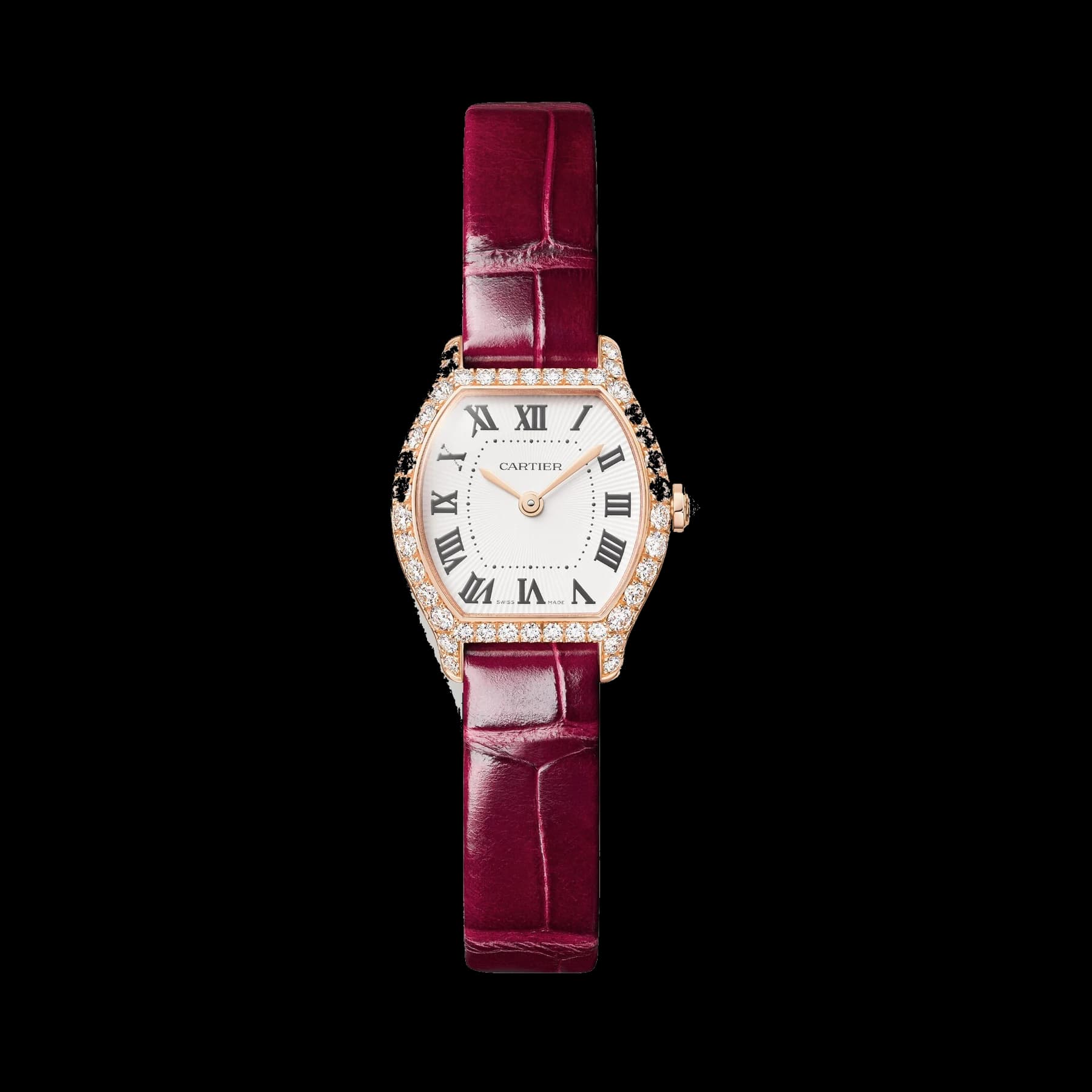 Tortue Watch