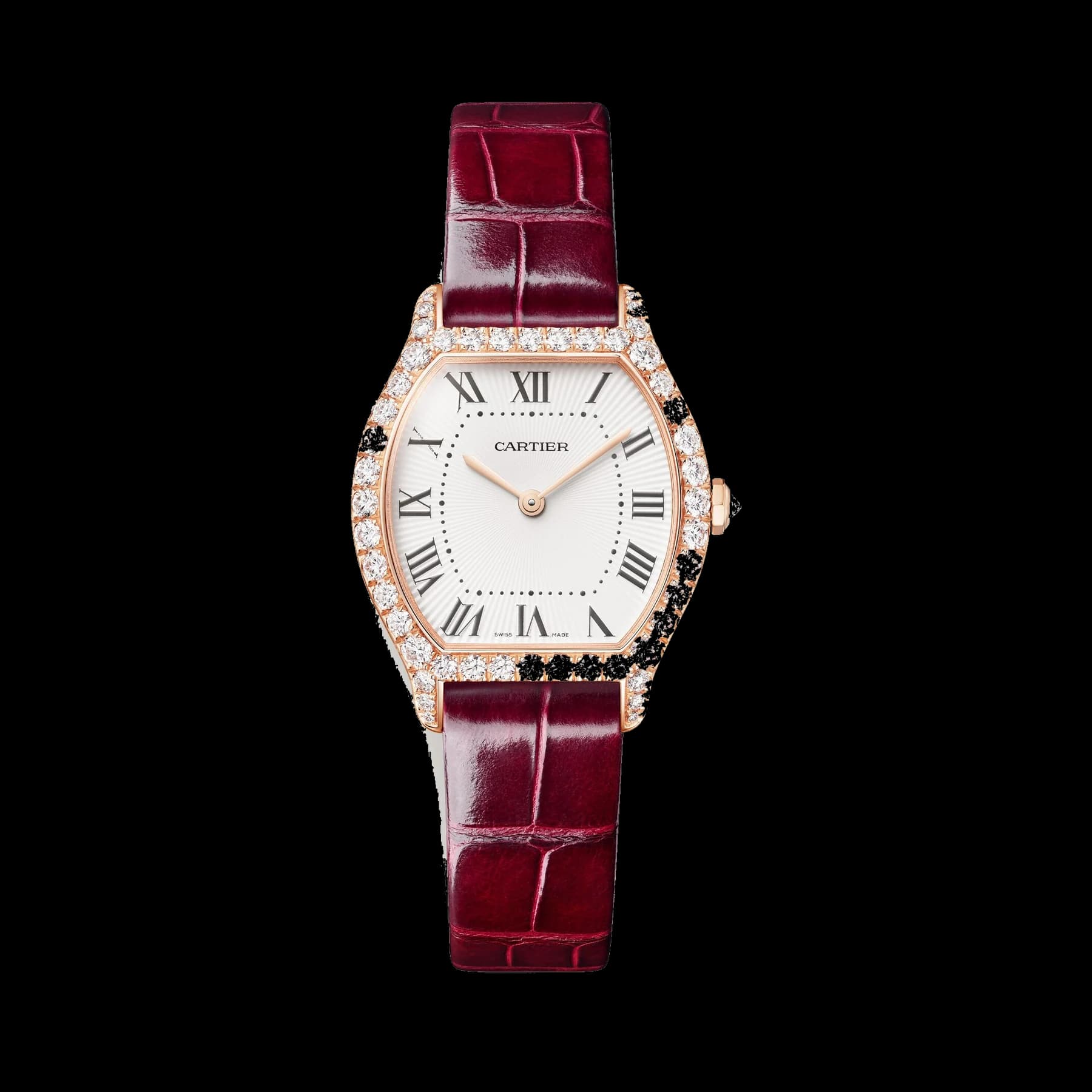 Tortue watch