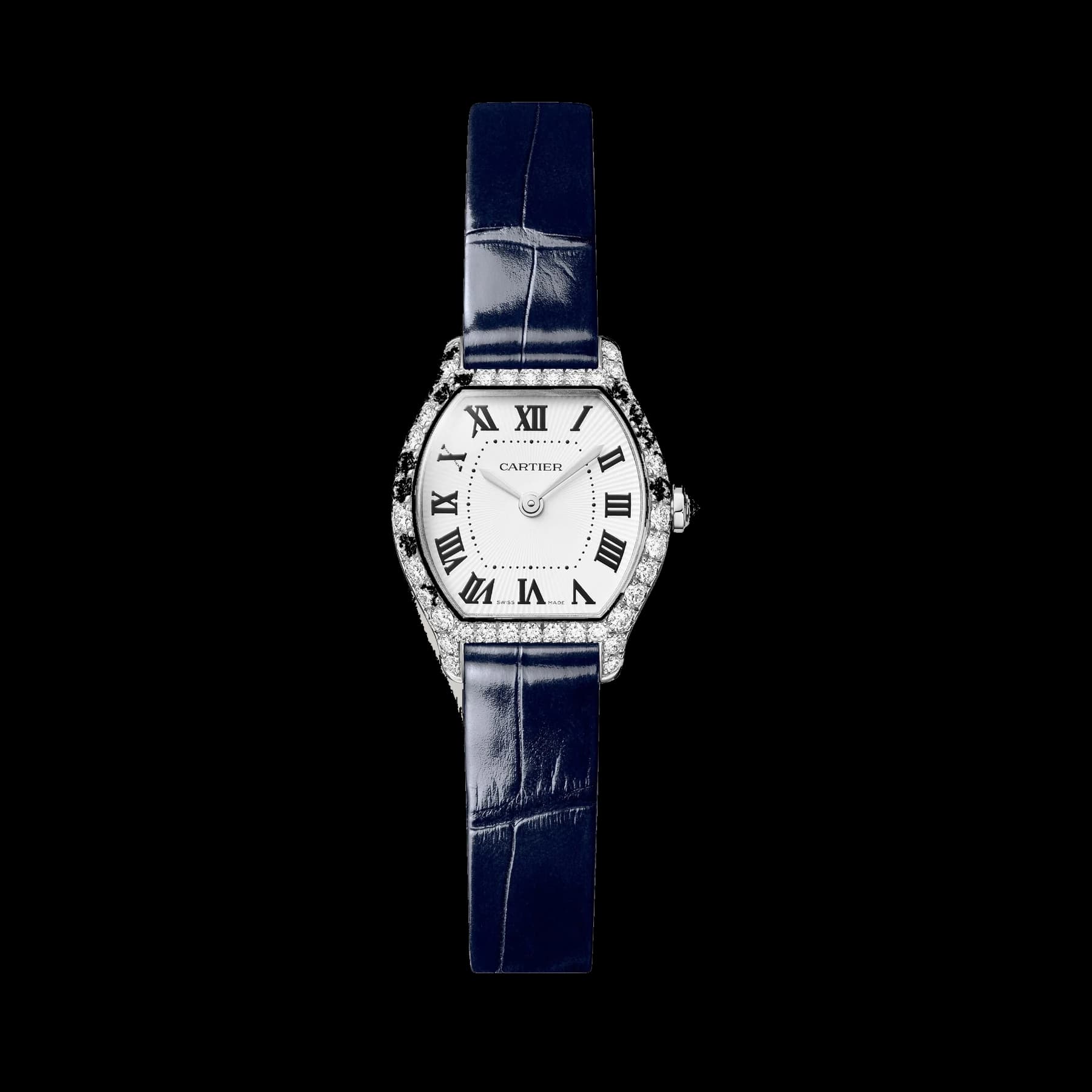 Tortue Watch