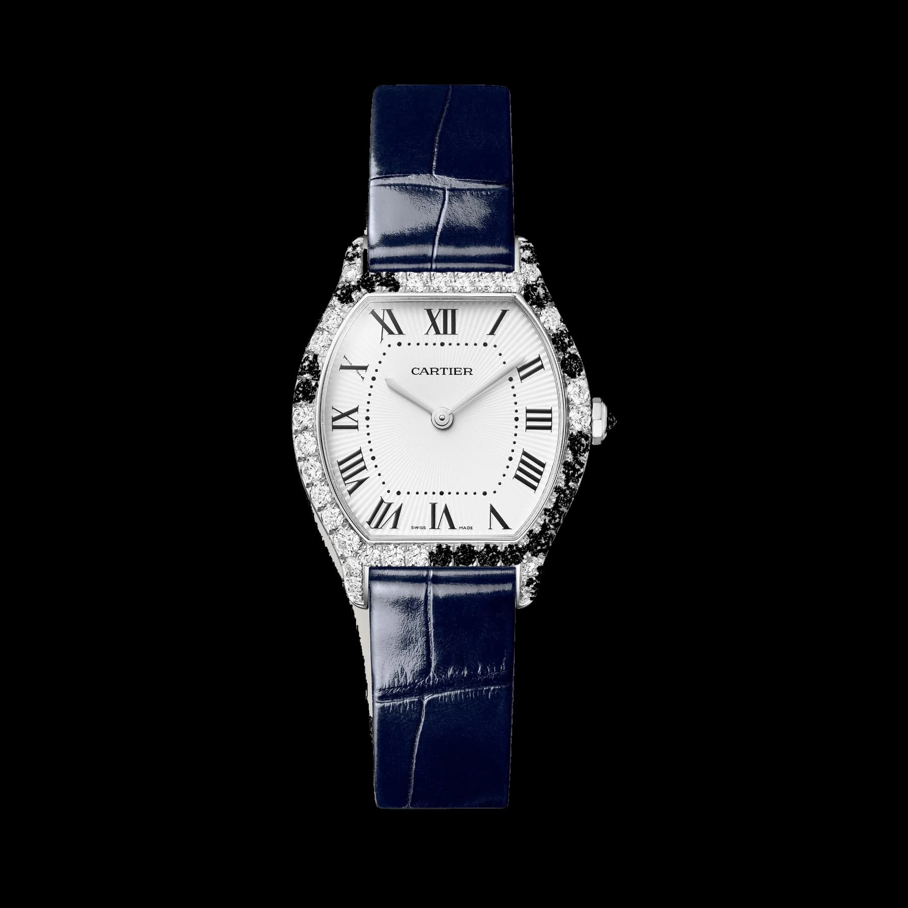 Tortue watch